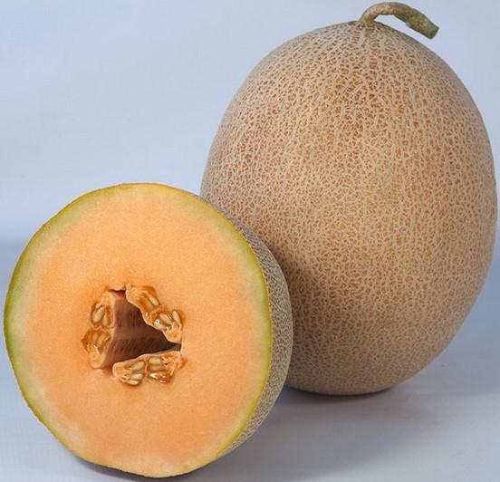 Seminte de pepene galben Kitano Seeds KS 6147 F1