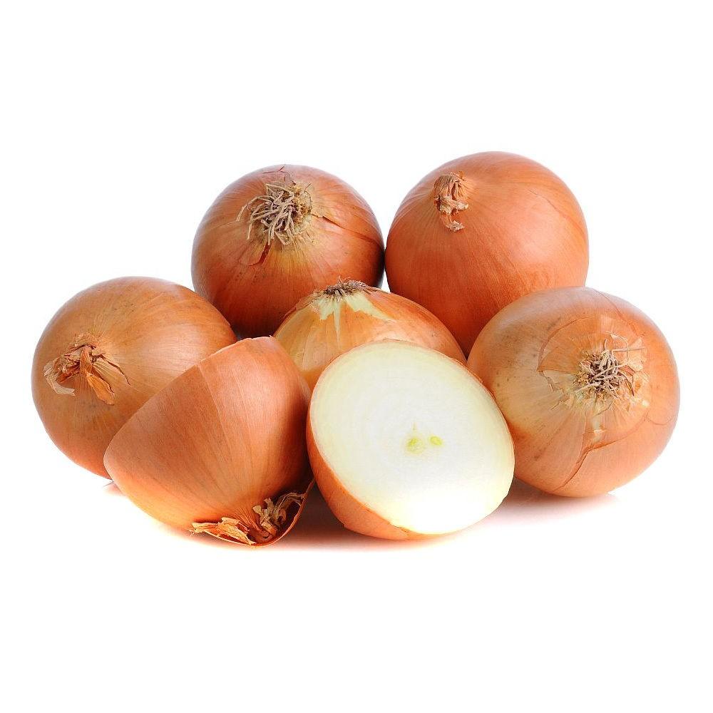 Seminte de ceapa Maraldi Sementi Top Star F1