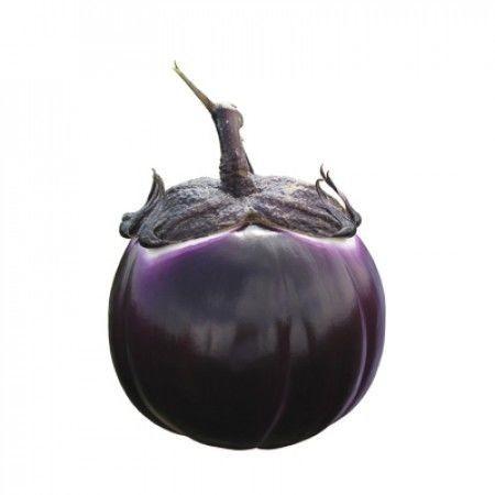 Seminte de vinete Rijk Zwaan Sabelle F1