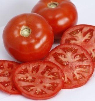 Seminte de rosii Rijk Zwaan Mohitos F1