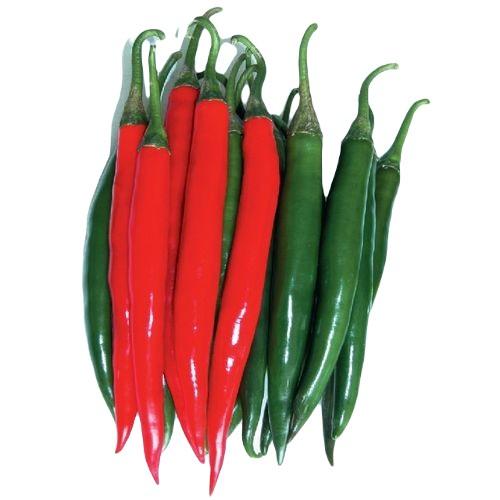 Seminte de ardei Nongwoo Bio Big Daddy F1