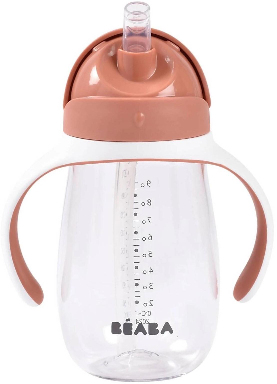Бутылка для воды Beaba Terracotta (B913586)