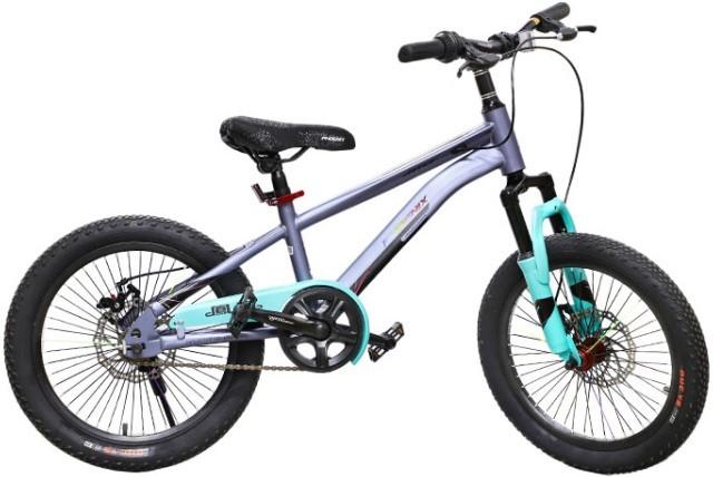 Bicicleta copii New World APAQI Grey 61549