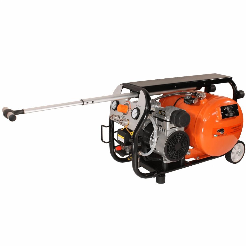 Compresor de aer Bisonte SC012-015