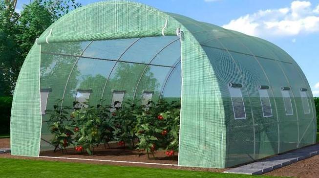 Seră de tip tunel Tehno Ms 4x3x2m
