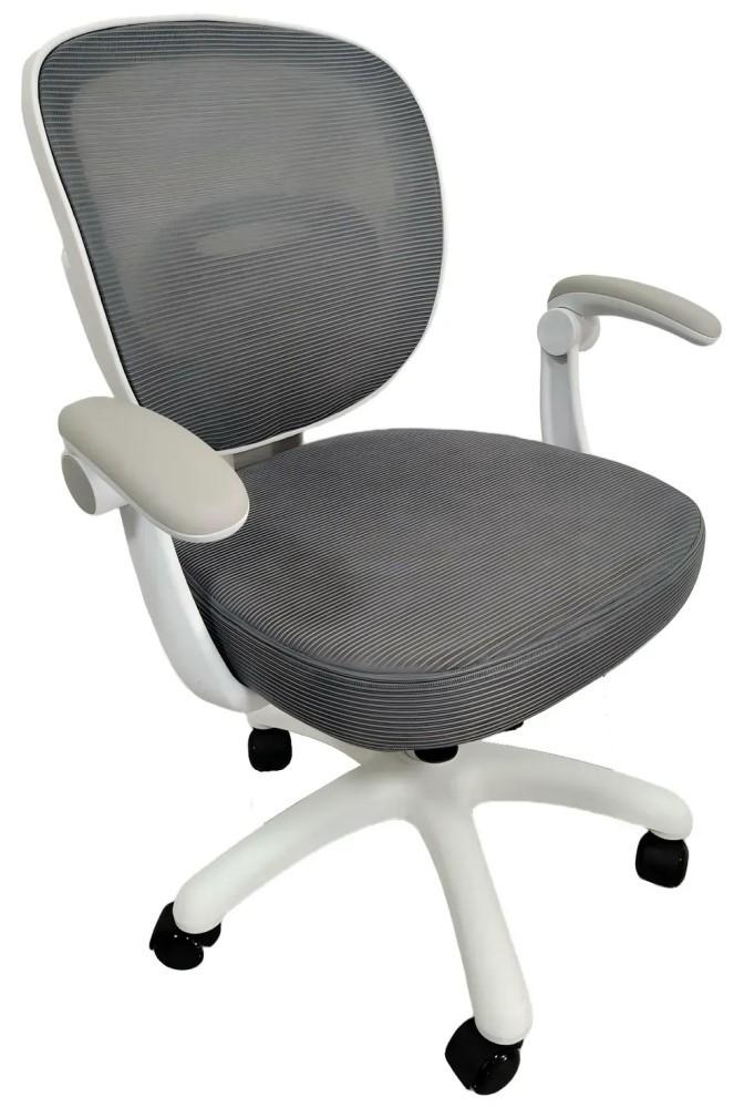 Fotoliu de birou MG-Plus Comfy Gri