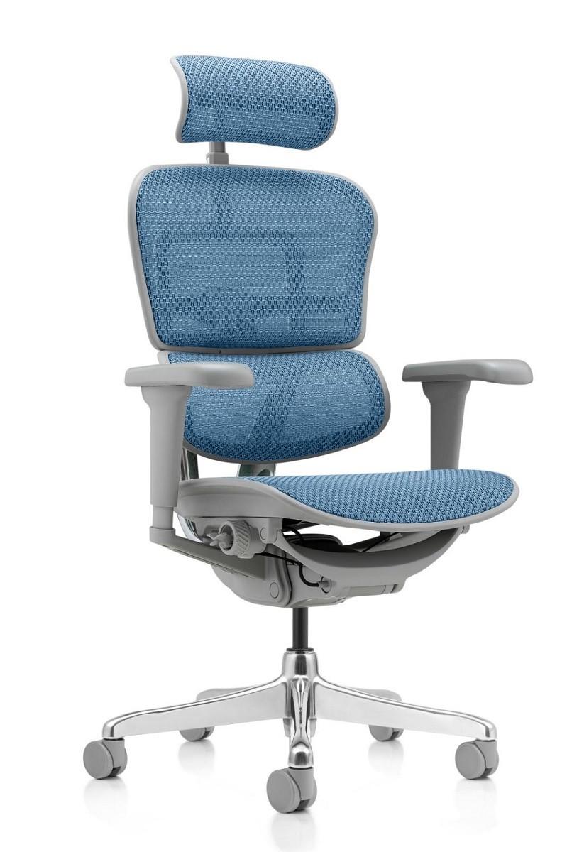 Fotoliu de birou Comfort Ergohuman Ultra Cobalt T-168-B4 EHU-AG-HAM-4D