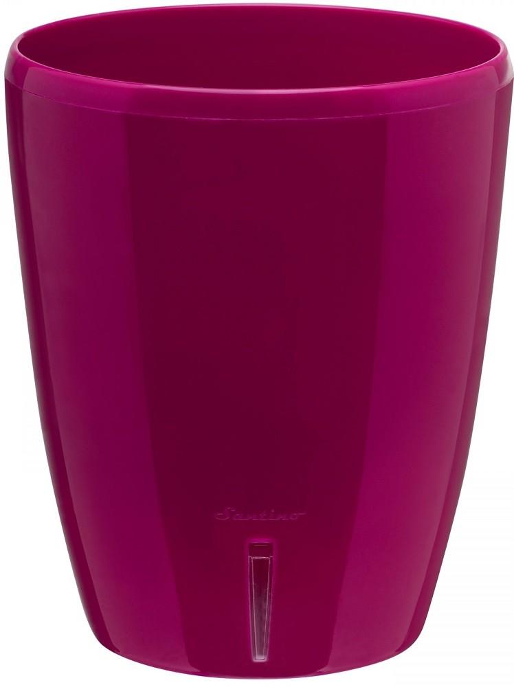  Santino Orchidea Twin 2l