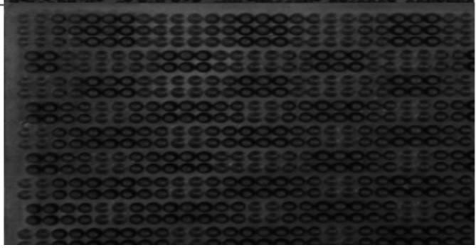 Придверный коврик VLM K309 41.5x58