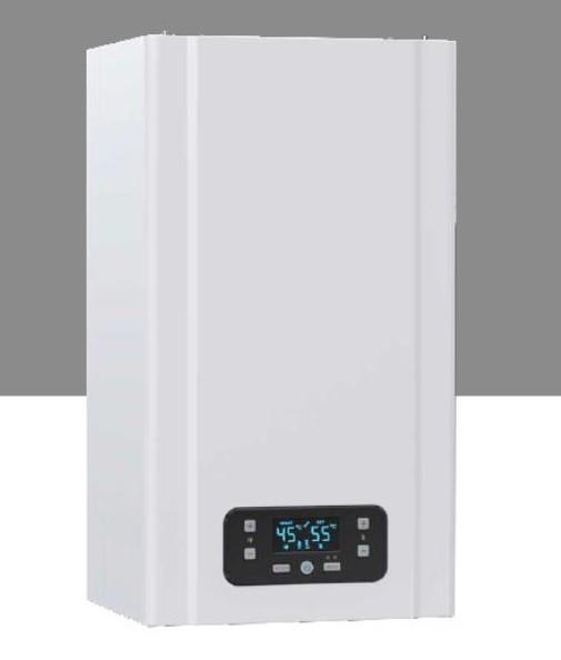 Газовый котел E.C.A Gerda 24 kw