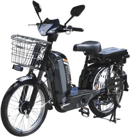 Электровелосипед TT AGRO MOTO Modern EB-005