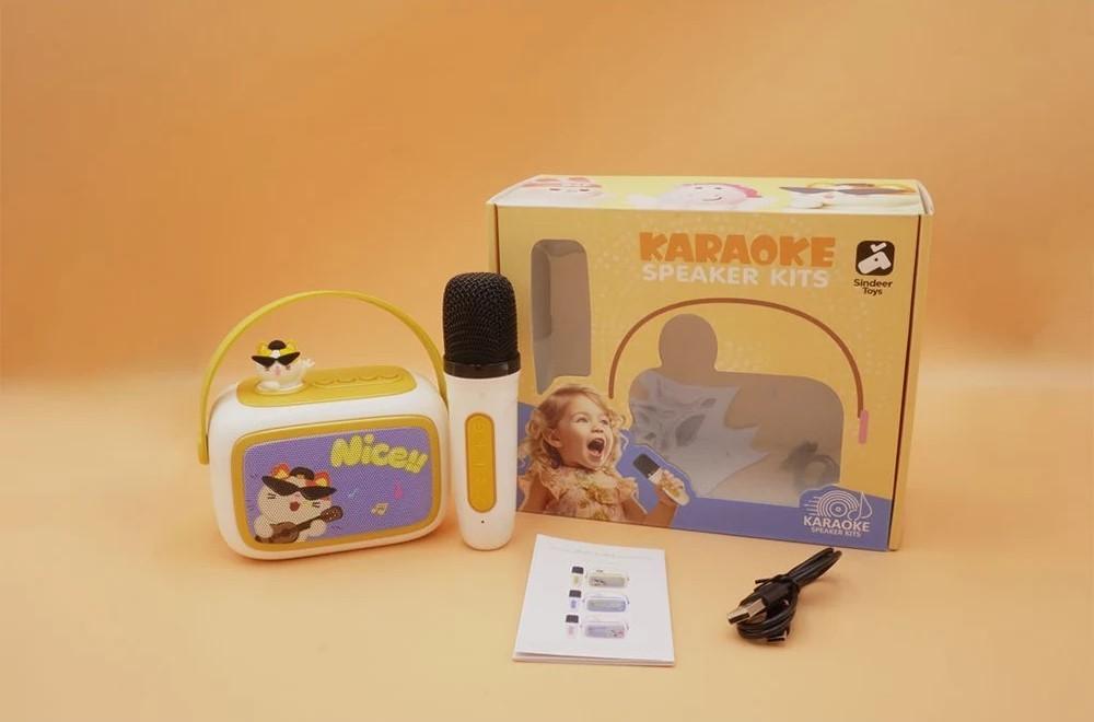 Музыкальная игрушка RT 08028