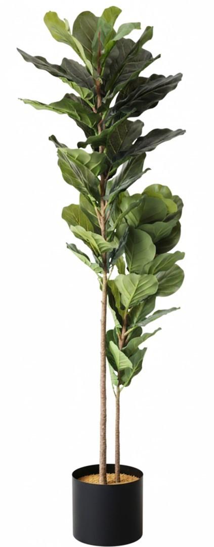 Flori artificiale DP Arbore Ficus lyrata 200