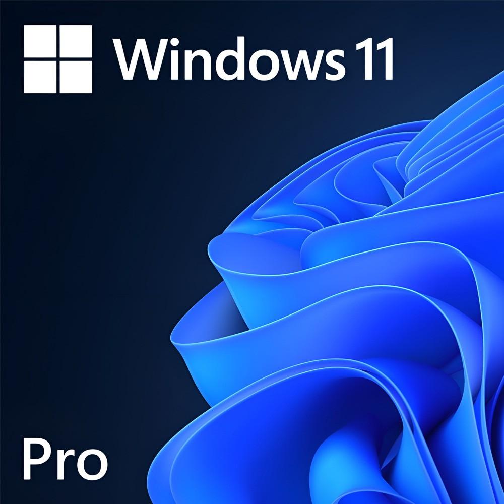 Sistem de operare Microsoft Windows 11 Pro 64 bit OEM English