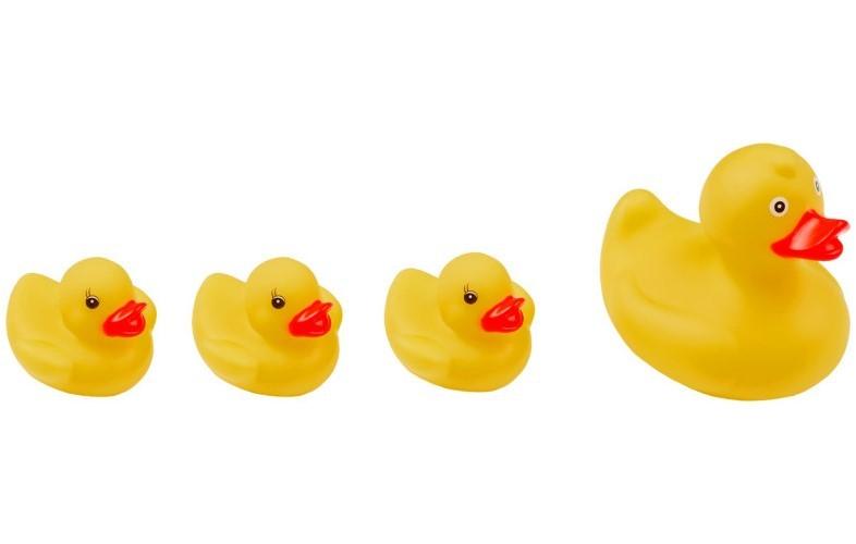 Jucărie pentru apă și baie Roxy Kids RRT-811