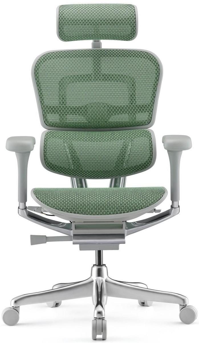 Fotoliu de birou Comfort Ergohuman Elite 2 Green