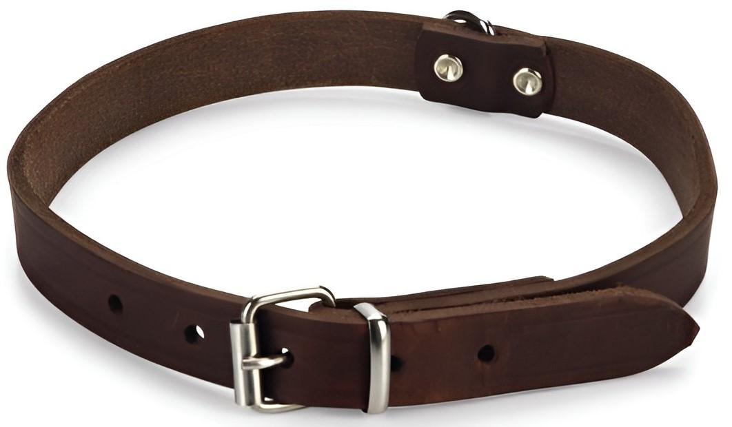 Zgarda pentru caini Beeztees Brown (735347)