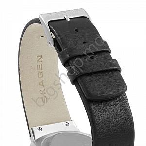 Ceas de mana SKAGEN SKW6024