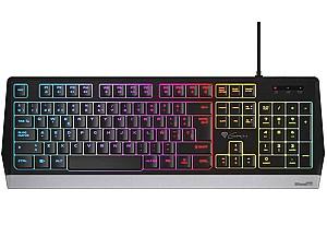 Tastatura  Genesis Rhod 300, RGB