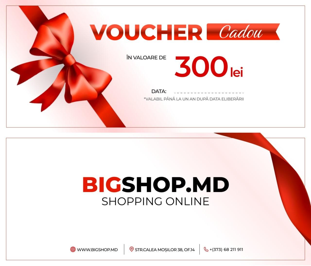 Voucher Bigshop 300