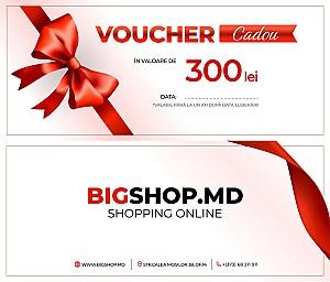 Voucher Bigshop 300