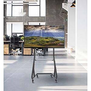 Suport pentru televizor Reflecta 105P-Shelf