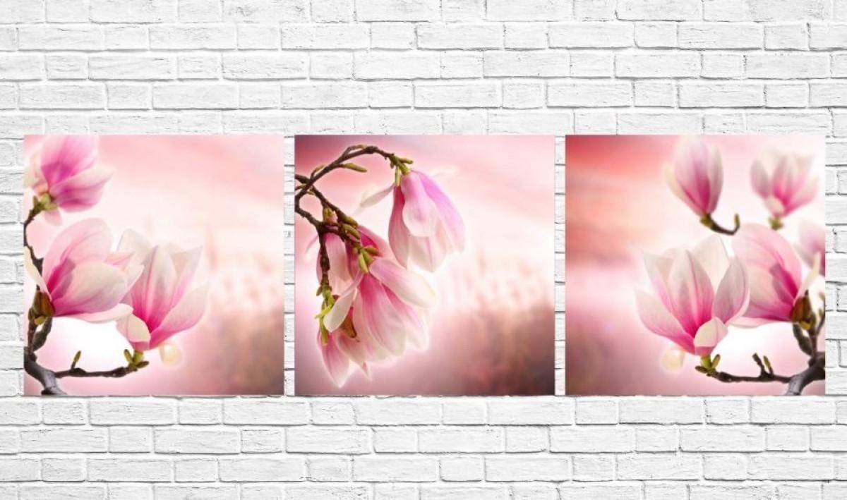 Tablou multicanvas Art.Desig Magnolia în floare