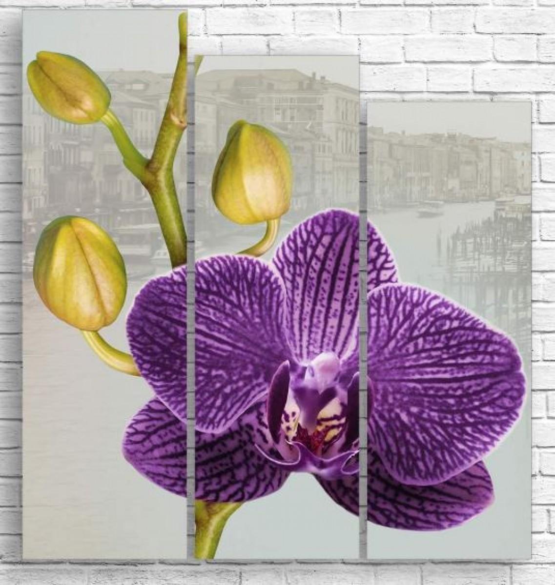 Tablou multicanvas Art.Desig ОRHIDEE PE FUNDAL DE EPOCĂ