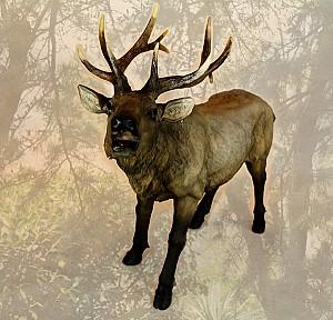 Decor pentru gradina Figuren Discounter Cerb