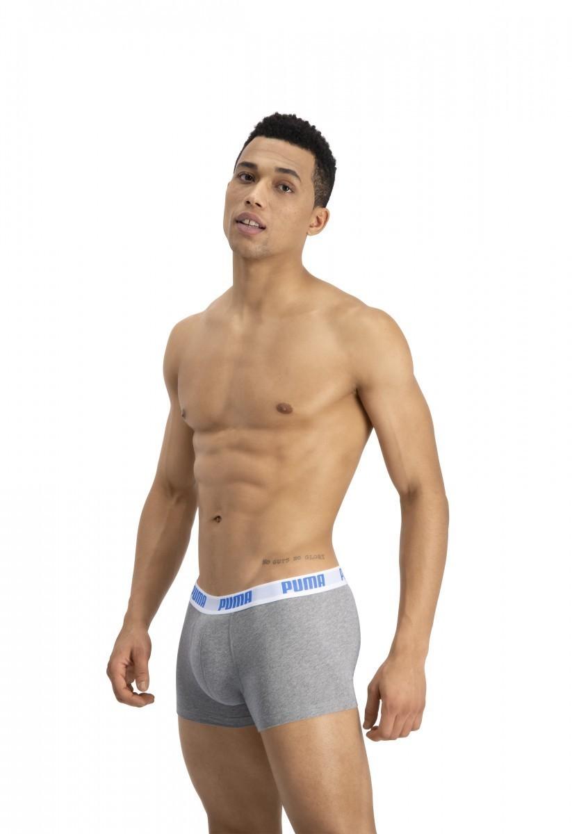 Lenjerie de corp barbati Puma BASIC TRUNK 2P + Grey