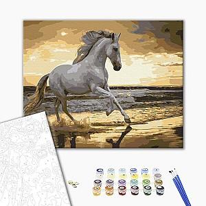 Tablou pe numere BrushMe Trapând pe coastă 40×50 cm (în cutie)