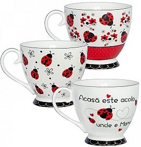 Set pentru ceai si cafea Casa Masa BUBURUZA 445 ml (6 buc)