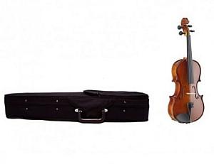 Vioara Parrot  PU 253 1/8