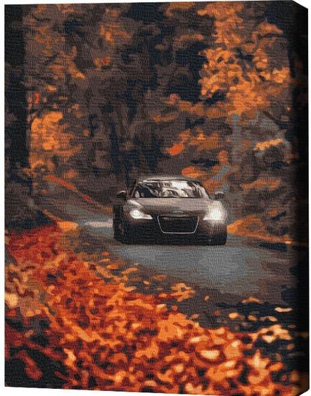 Tablou pe numere BrushMe Drum de toamnă