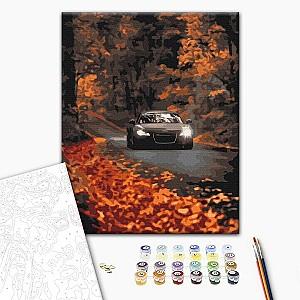 Tablou pe numere BrushMe Drum de toamnă