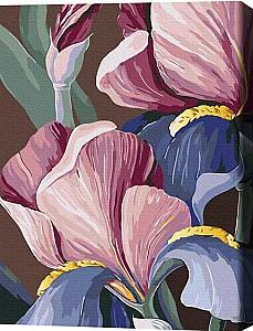 Tablou pe numere BrushMe Biluhina