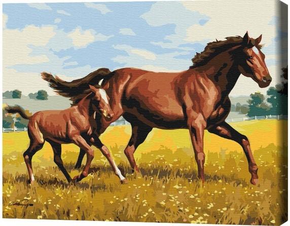 Tablou pe numere BrushMe Galop de familie