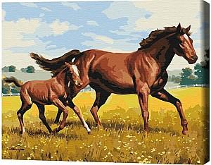 Tablou pe numere BrushMe Galop de familie