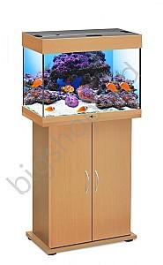 Acvariu Big Fish Standard Class 60 (fag)