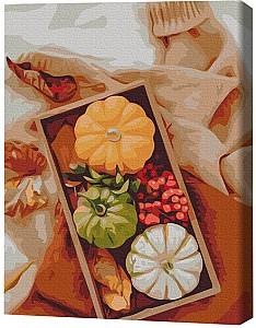 Tablou pe numere BrushMe BS52461FC