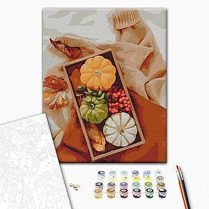 Tablou pe numere BrushMe BS52461FC