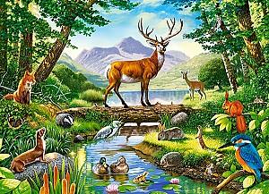 Puzzle Castorland B-030408