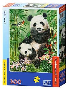 Puzzle Castorland B-030507