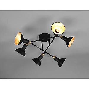 Corp de iluminat Trio ROXIE