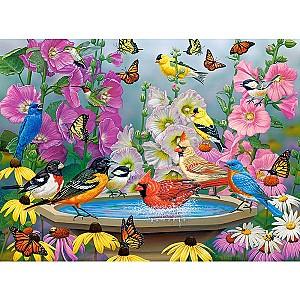 Puzzle Castorland C-200818