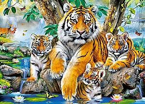 Puzzle Castorland B-13517
