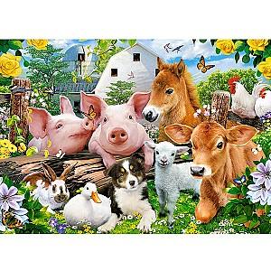 Puzzle Castorland B-066209