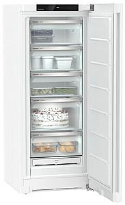 Congelator Liebherr FNf 4605