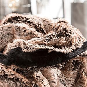 Plapuma Bugatti Jacquard  Black/Braun