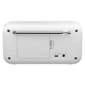 Radio Sharp DR-P420WHV01